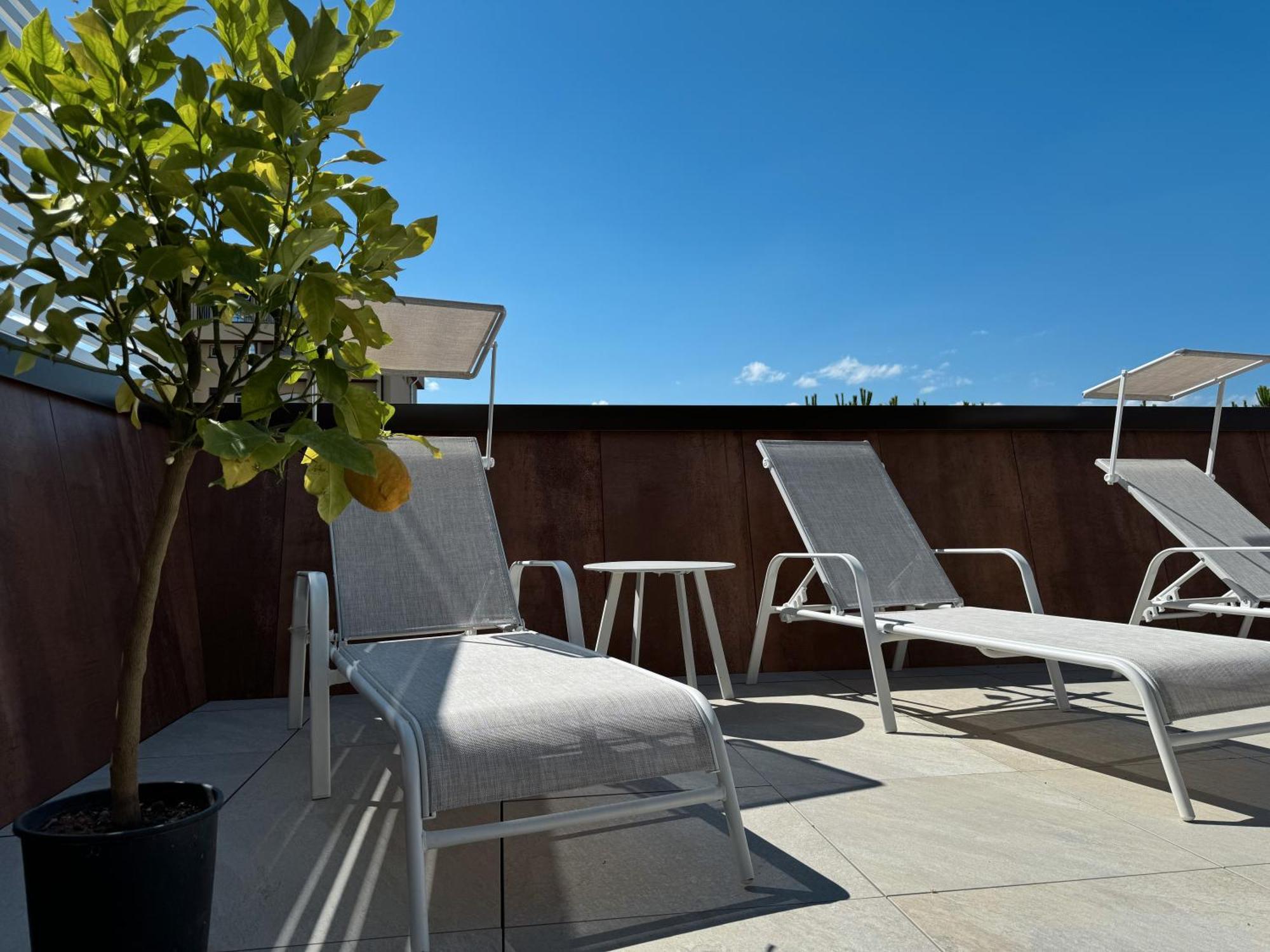 Hotel Adria B&B - Colazione Fino Alle 12 ミザーノ・アドリアーティコ エクステリア 写真